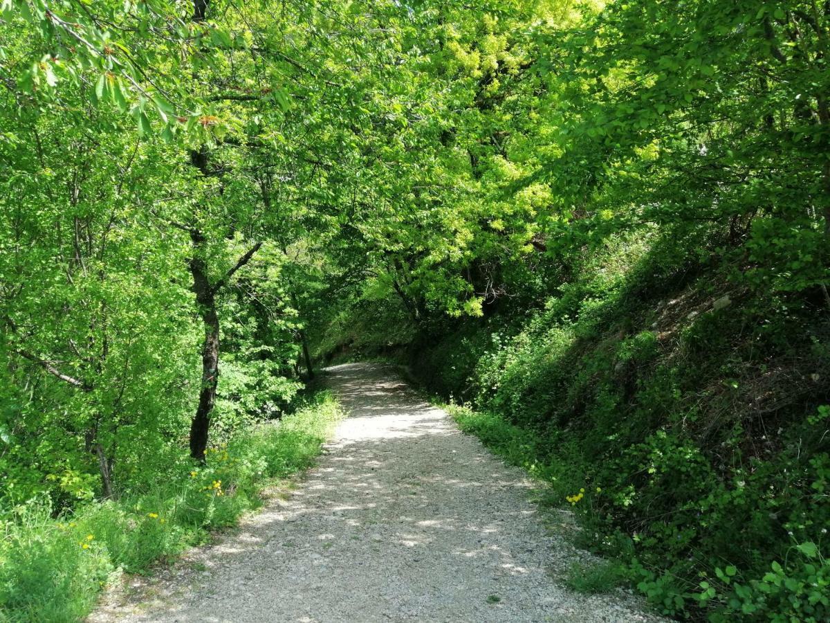 La Grande Chambre Saint-Jean-en-Royans Luaran gambar